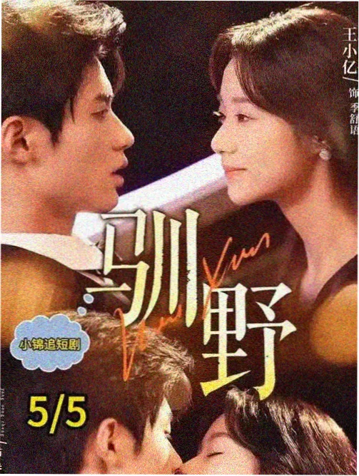 分步归档向导缩略图